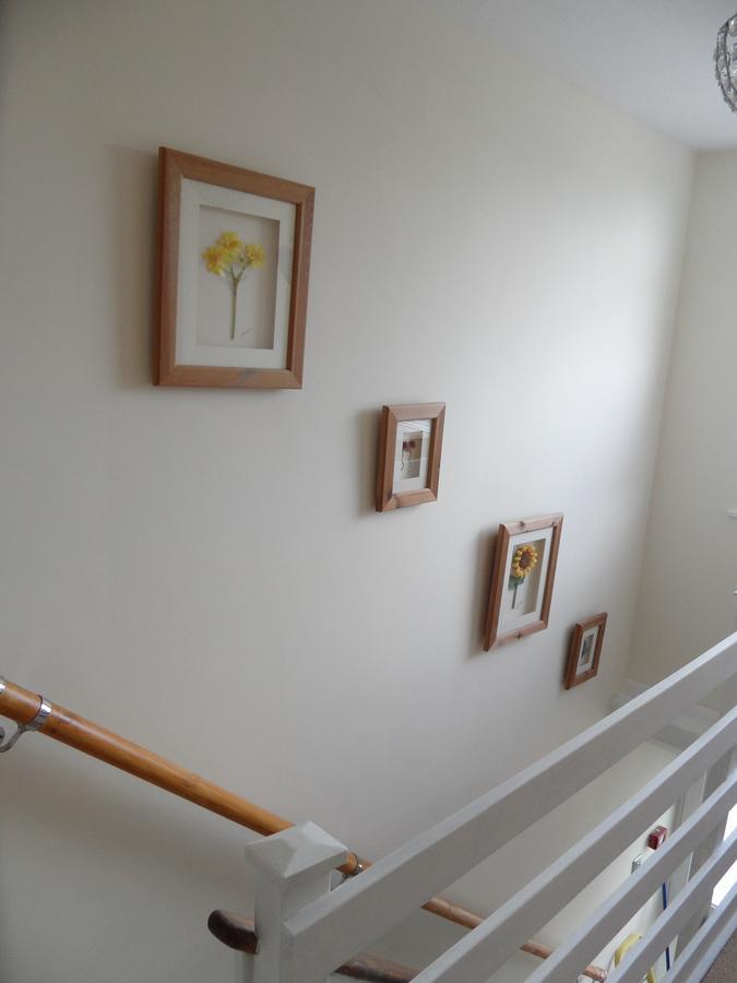Monterey Pines Bed and Breakfast Helston Exteriör bild